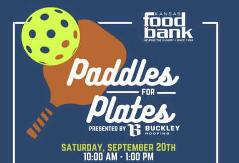 PADDLES FOR PLATES